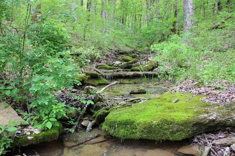 2801 Pattons Creek Rd, Pendleton, KY 40055 photo 66