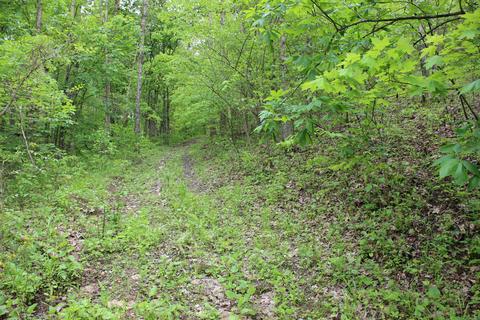 2801 Pattons Creek Rd, Pendleton, KY 40055 photo 61