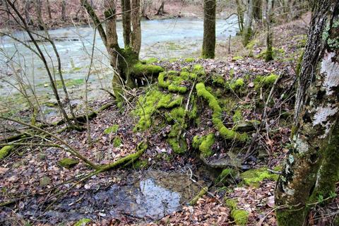 2801 Pattons Creek Rd, Pendleton, KY 40055 photo 70