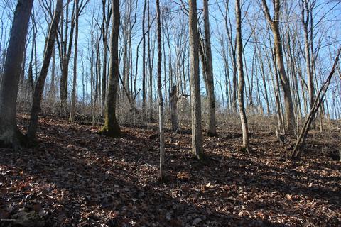 2801 Pattons Creek Rd, Pendleton, KY 40055 photo 78