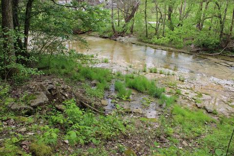 2801 Pattons Creek Rd, Pendleton, KY 40055 photo 77
