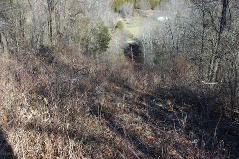 2801 Pattons Creek Rd, Pendleton, KY 40055 photo 79
