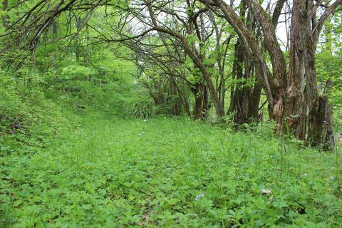 2801 Pattons Creek Rd, Pendleton, KY 40055 photo 57