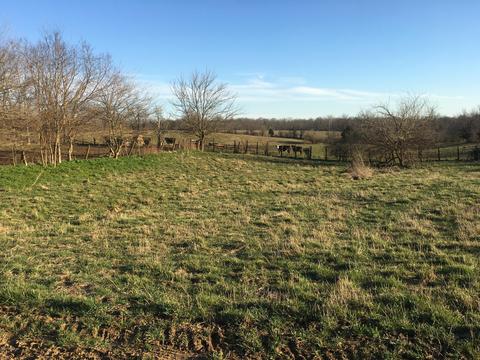 8375 Lagrange Rd, Smithfield, KY 40068 photo 43