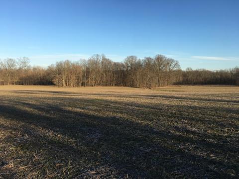 8375 Lagrange Rd, Smithfield, KY 40068 photo 9