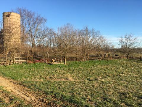 8375 Lagrange Rd, Smithfield, KY 40068 photo 54