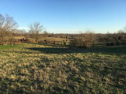 8375 Lagrange Rd, Smithfield, KY 40068 photo 34