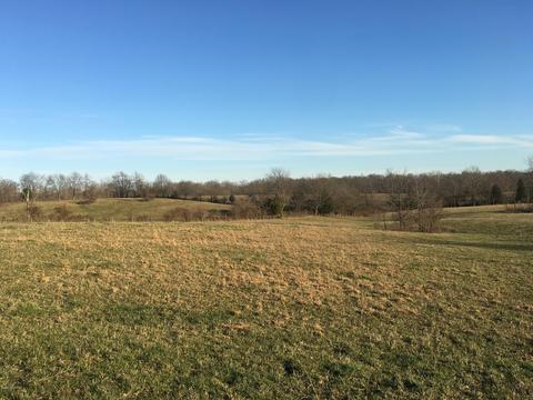 8375 Lagrange Rd, Smithfield, KY 40068 photo 7
