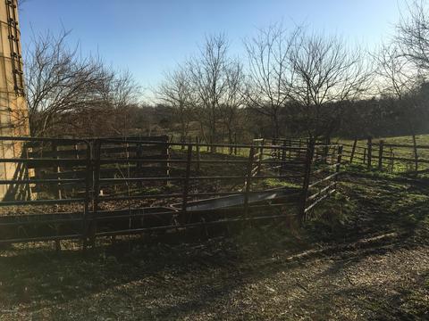 8375 Lagrange Rd, Smithfield, KY 40068 photo 51