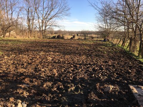 8375 Lagrange Rd, Smithfield, KY 40068 photo 52