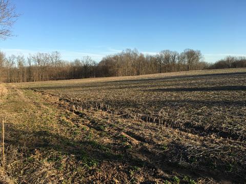 8375 Lagrange Rd, Smithfield, KY 40068 photo 8