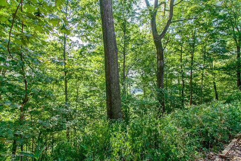 7245 Fox Harbor Rd, Prospect, KY 40059 photo 47