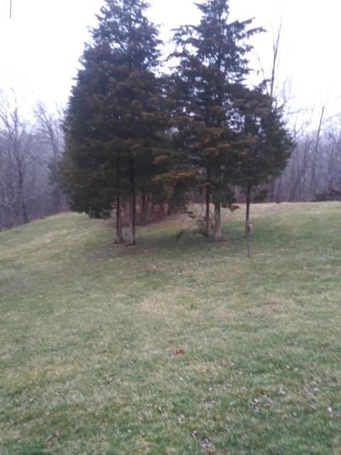 64 Pimlico Rdg, Pendleton, KY 40055 photo 31