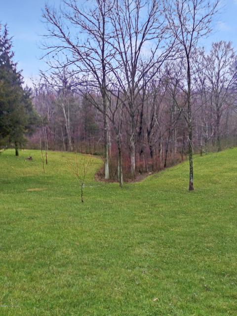 64 Pimlico Rdg, Pendleton, KY 40055 photo 3