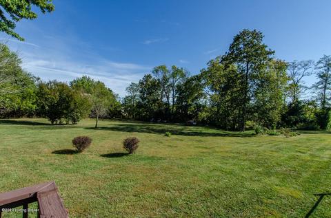 3488 Cane Run Rd, Springfield, KY 40069 photo 63