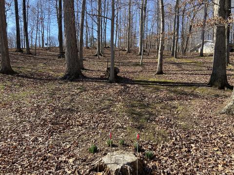 103 Hillview Camp Rd, Bee Spring, KY 42207 photo 15