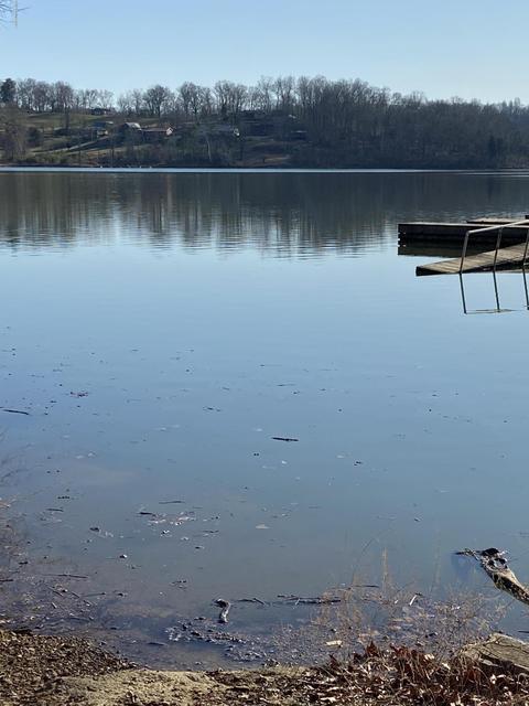 103 Hillview Camp Rd, Bee Spring, KY 42207 photo 50