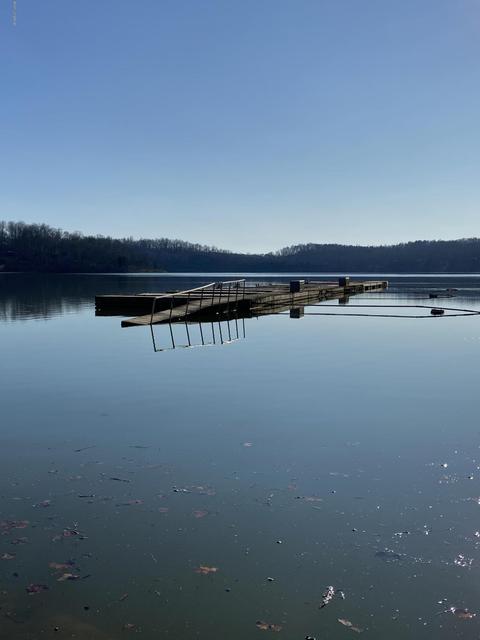 103 Hillview Camp Rd, Bee Spring, KY 42207 photo 45