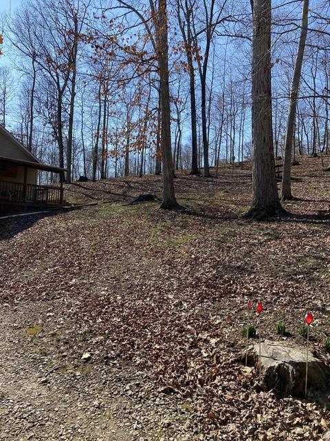 103 Hillview Camp Rd, Bee Spring, KY 42207 photo 13