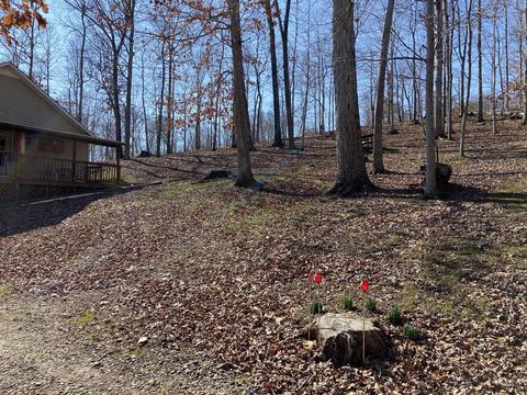 103 Hillview Camp Rd, Bee Spring, KY 42207 photo 4
