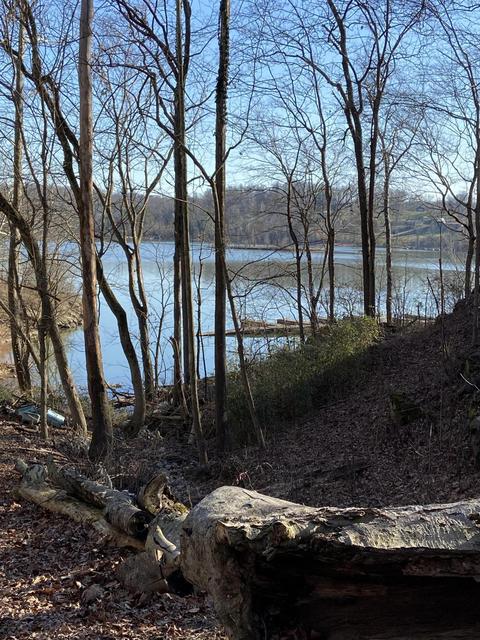 103 Hillview Camp Rd, Bee Spring, KY 42207 photo 42