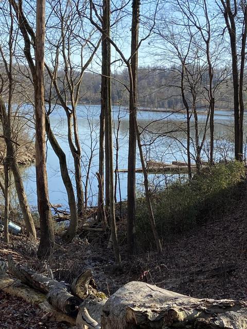 103 Hillview Camp Rd, Bee Spring, KY 42207 photo 43