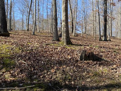 103 Hillview Camp Rd, Bee Spring, KY 42207 photo 14