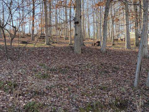 103 Hillview Camp Rd, Bee Spring, KY 42207 photo 53