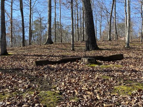 103 Hillview Camp Rd, Bee Spring, KY 42207 photo 16