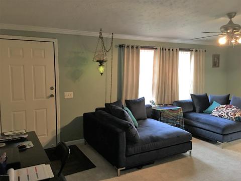31 Plainview Ct, Milton, KY 40045 photo 5