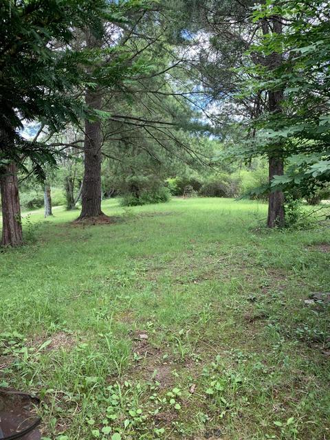 185 Ashfork Rd, Pendleton, KY 40055 photo 14