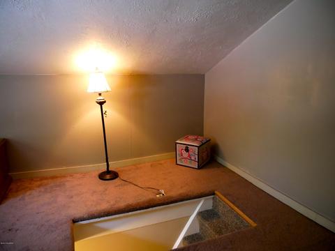320 Presbyterian Ave, Madison, IN 47250 photo 30