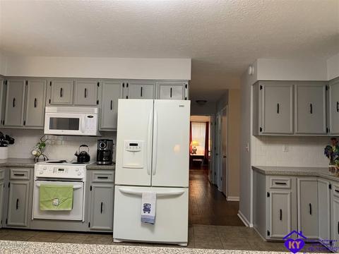 515 Buck Knobs Rd, Ekron, KY 40117 photo 30