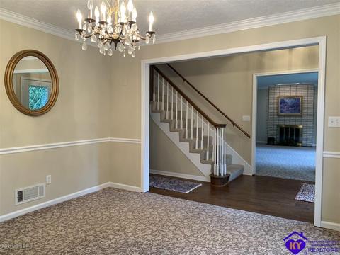 515 Buck Knobs Rd, Ekron, KY 40117 photo 4