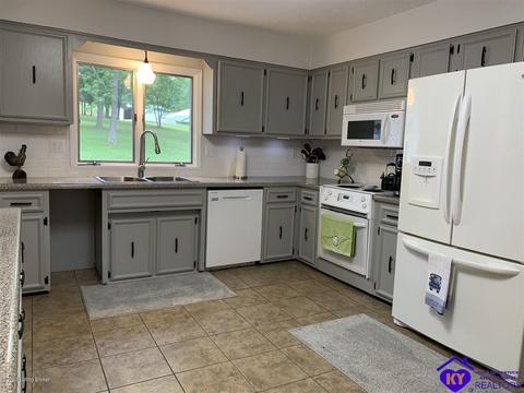 515 Buck Knobs Rd, Ekron, KY 40117 photo 25