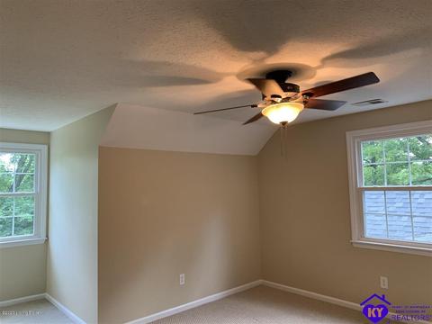 515 Buck Knobs Rd, Ekron, KY 40117 photo 18