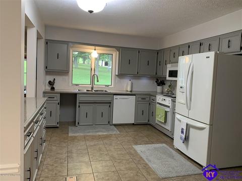 515 Buck Knobs Rd, Ekron, KY 40117 photo 5
