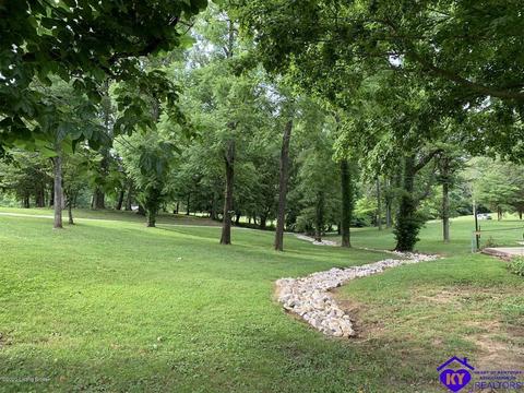 515 Buck Knobs Rd, Ekron, KY 40117 photo 3