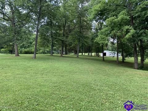 515 Buck Knobs Rd, Ekron, KY 40117 photo 6