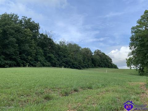 515 Buck Knobs Rd, Ekron, KY 40117 photo 42