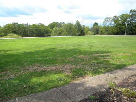 972 Peytona Beach Rd, Waddy, KY 40076 photo 9