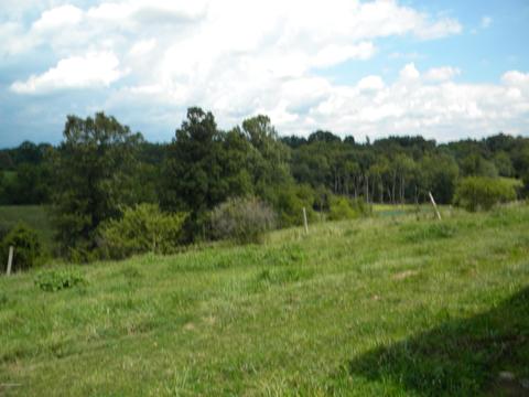 972 Peytona Beach Rd, Waddy, KY 40076 photo 10