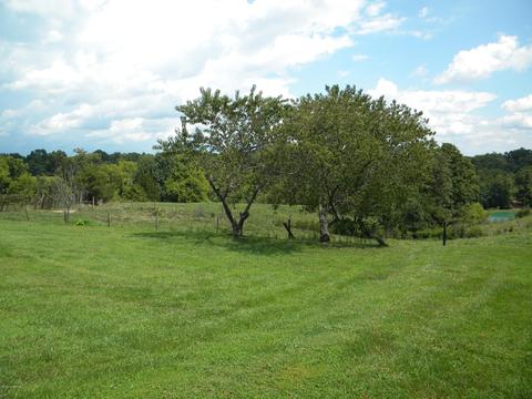 972 Peytona Beach Rd, Waddy, KY 40076 photo 8