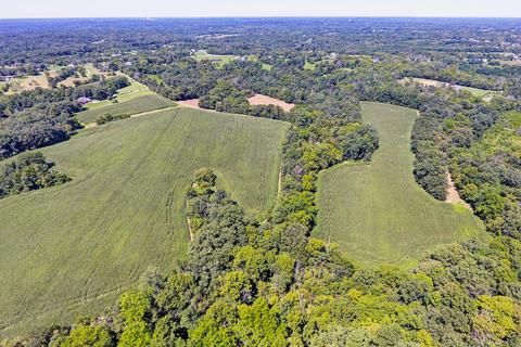 3700 Us Hwy 42 E, Pendleton, KY 40055 photo 61