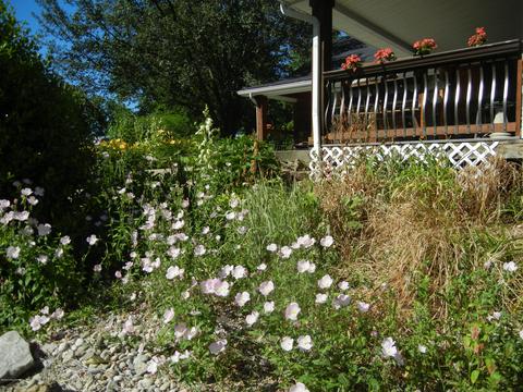 371 Thornhill Rd, Pendleton, KY 40055 photo 57