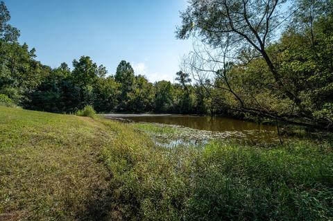 115 Arnold Ln, Pendleton, KY 40055 photo 10