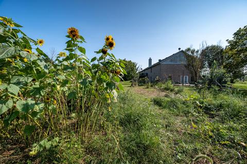 115 Arnold Ln, Pendleton, KY 40055 photo 7