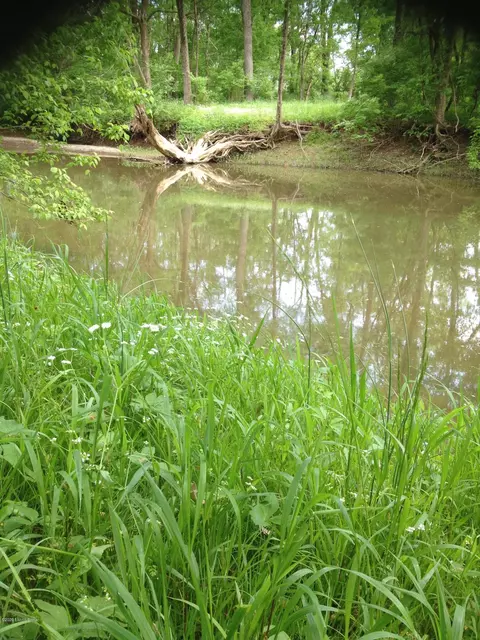 349 Fox Creek Rd, Pendleton, KY 40055 photo 3