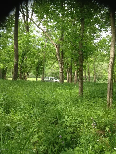 349 Fox Creek Rd, Pendleton, KY 40055 photo 2