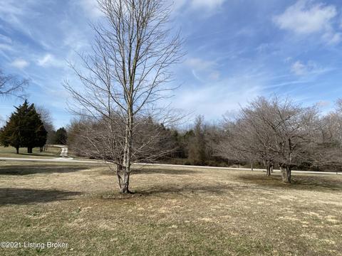 175 Buck Knobs Rd, Ekron, KY 40117 photo 27